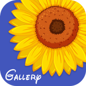 Gallery icon