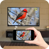 ikon Screen Mirroring