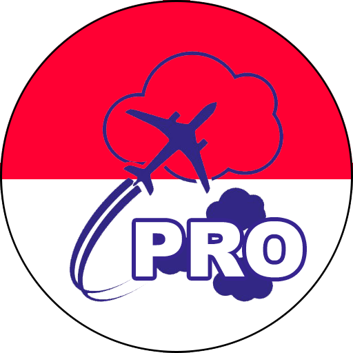 METAR Indonesia PRO icon