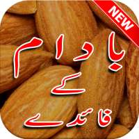 Badam ke Faide on 9Apps