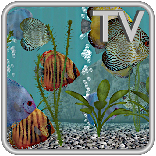 Discus Fish Aquarium TV Live icon
