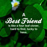 Best Friends Forever Quotes 2018 on 9Apps