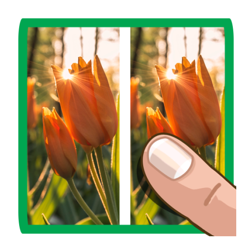 5 Spot (Photo Different) icon