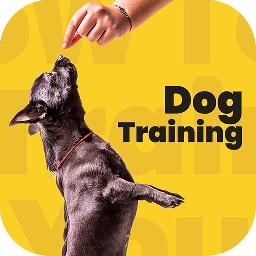 Dog training, Dog Tricks icon