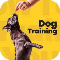 Dog training, Dog Tricks
