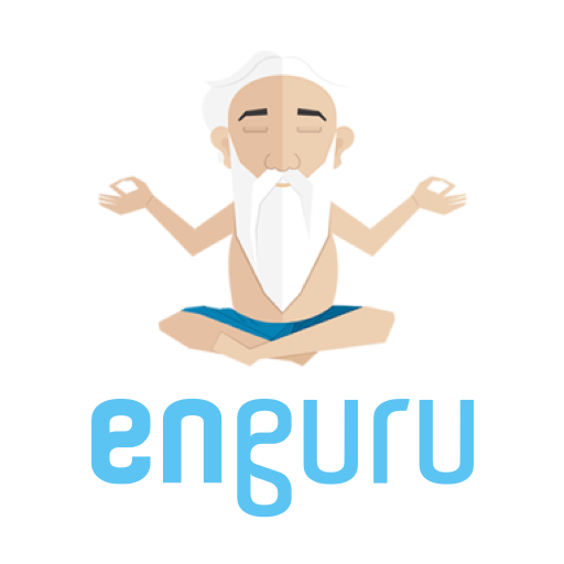 enguru for Enterprises icon