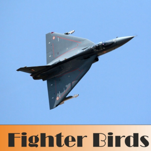 Fighter Birds icon