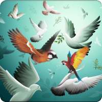Bird Wallpaper HD on 9Apps