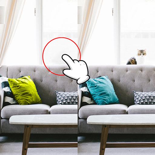 Find the differences mobile icon