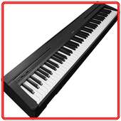Digital Piano Yamahap45 Video Reviews