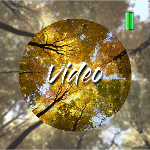 Forest Video Wallpapers icon