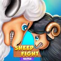 Sheep Fight Battle
