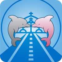 Boto Car - Motorista