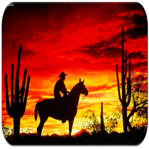 Wild west sounds icon