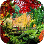 wallpaper Garden ❤️ GIF Image of Flower icon