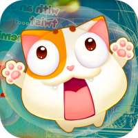 Mida Maze: Cats Classroom