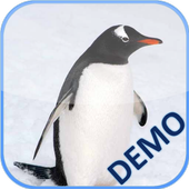 Animal puzzles for kids (lite) icon