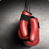 Boxing Sound FX icon