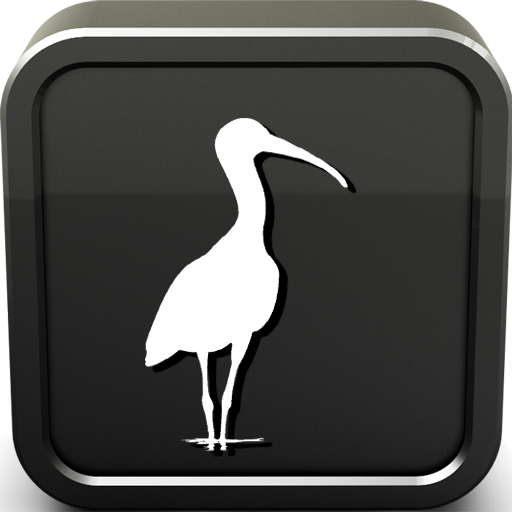 Ibis Sounds Ringtone icon