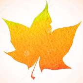 Autumn Leaves on 9Apps