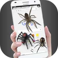 Spider in phone funny joke