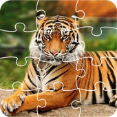Tiger Jigsaw Puzzle King icon
