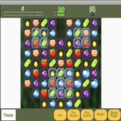 Fruit Wonderland icon