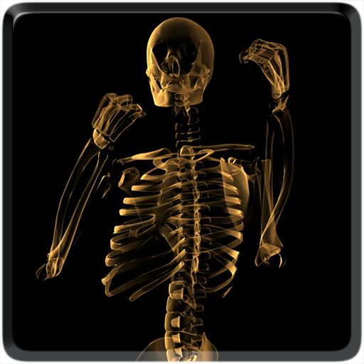 Skeleton Video Live Wallpaper icon