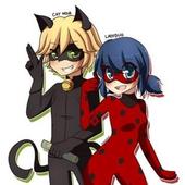 Ladybug and Cat Noir icon