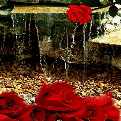 Rose Waterfall Live Wallpaper أيقونة