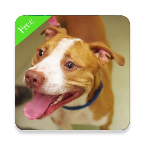 Free Dog Sounds أيقونة