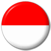 VPN Indonesia icon