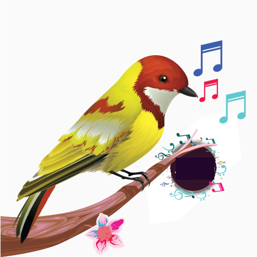Birds Sounds &amp; Birds Ringtones icon