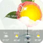 Weather Widget Transparent