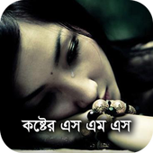 Koster Status 2018 icon