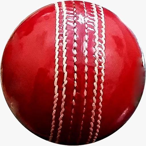 CricSuper - Pak League 2020 icon