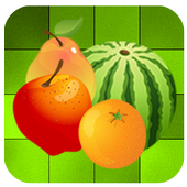 FRUIT SLICERS FREE icon