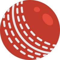 160kph Cricket Ball Speed (Speed gun)