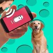 Dog Translator on 9Apps