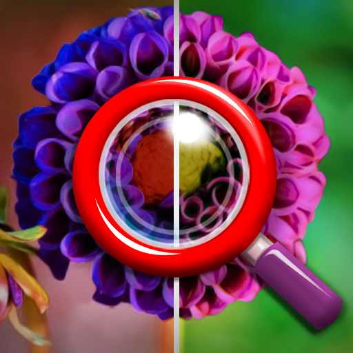 Find Image Difference icon