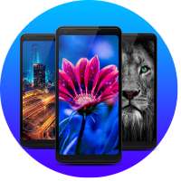 Wallpapers.VIP on 9Apps