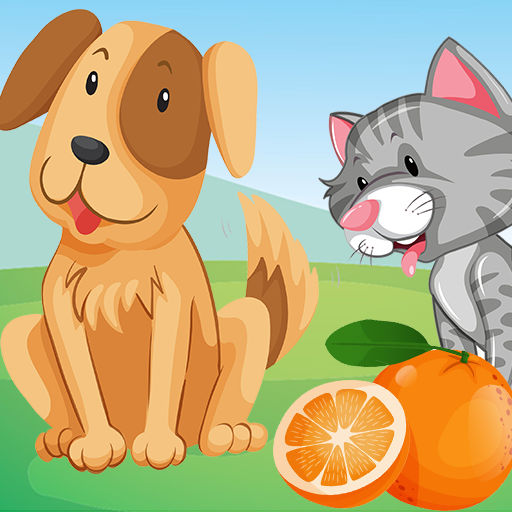 Names Fruits Countries Animals icon