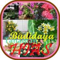 Budidaya Tanaman Hias on 9Apps