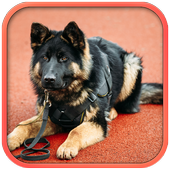 Fantastic Police Dog icon