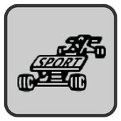 LCD Rally Game أيقونة