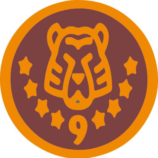 Tiger9 - A VR Space Puzzle icon