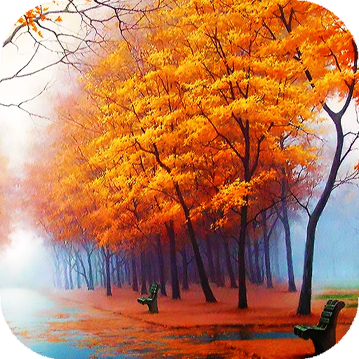 Autumn Wallpapers HD &amp; 4k Backgrounds icon