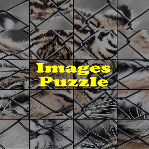 Image puzzle only icon