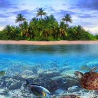 Sea wallpapers HD on 9Apps