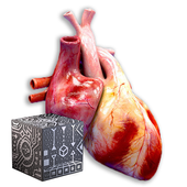 AR Medical иконка